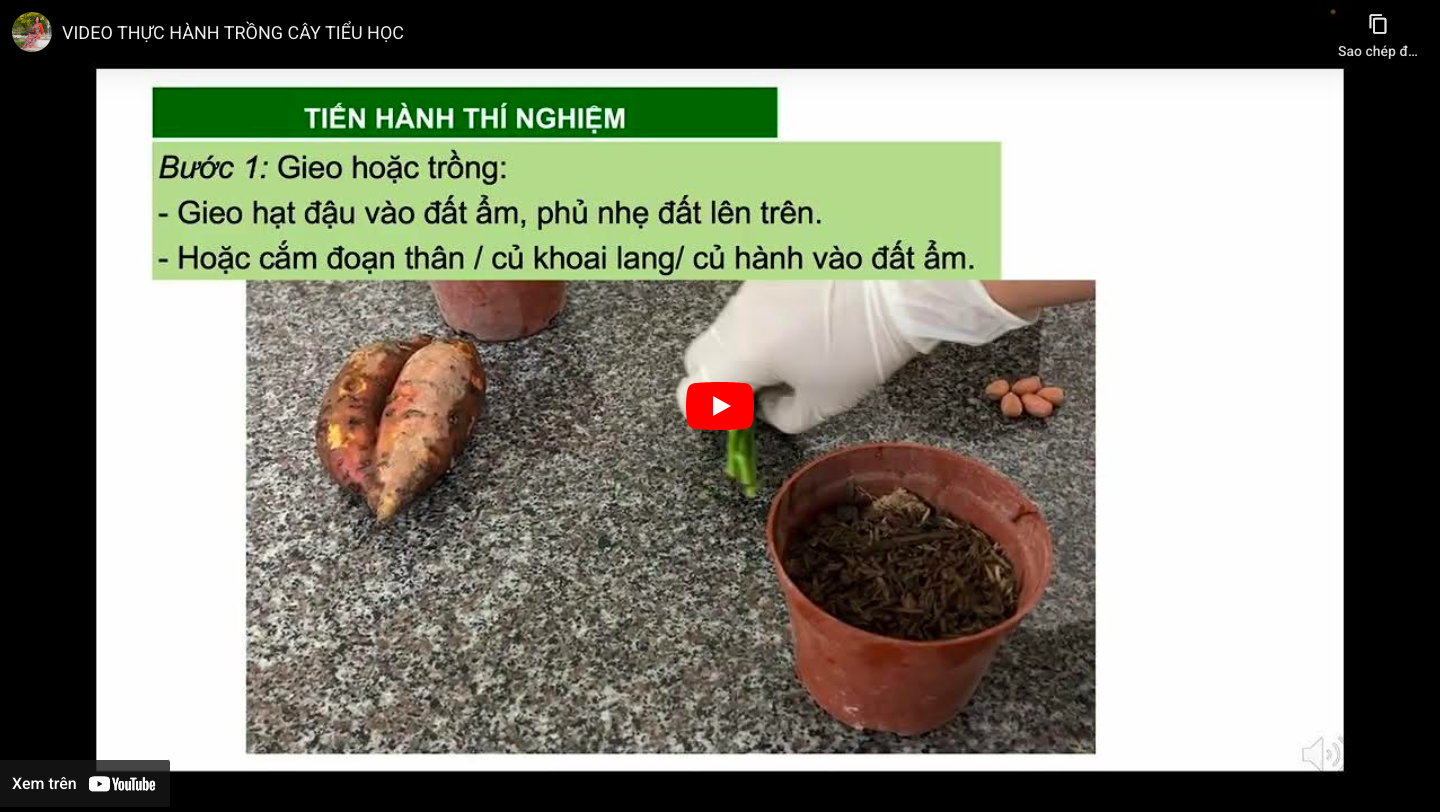 Ảnh đại diện video