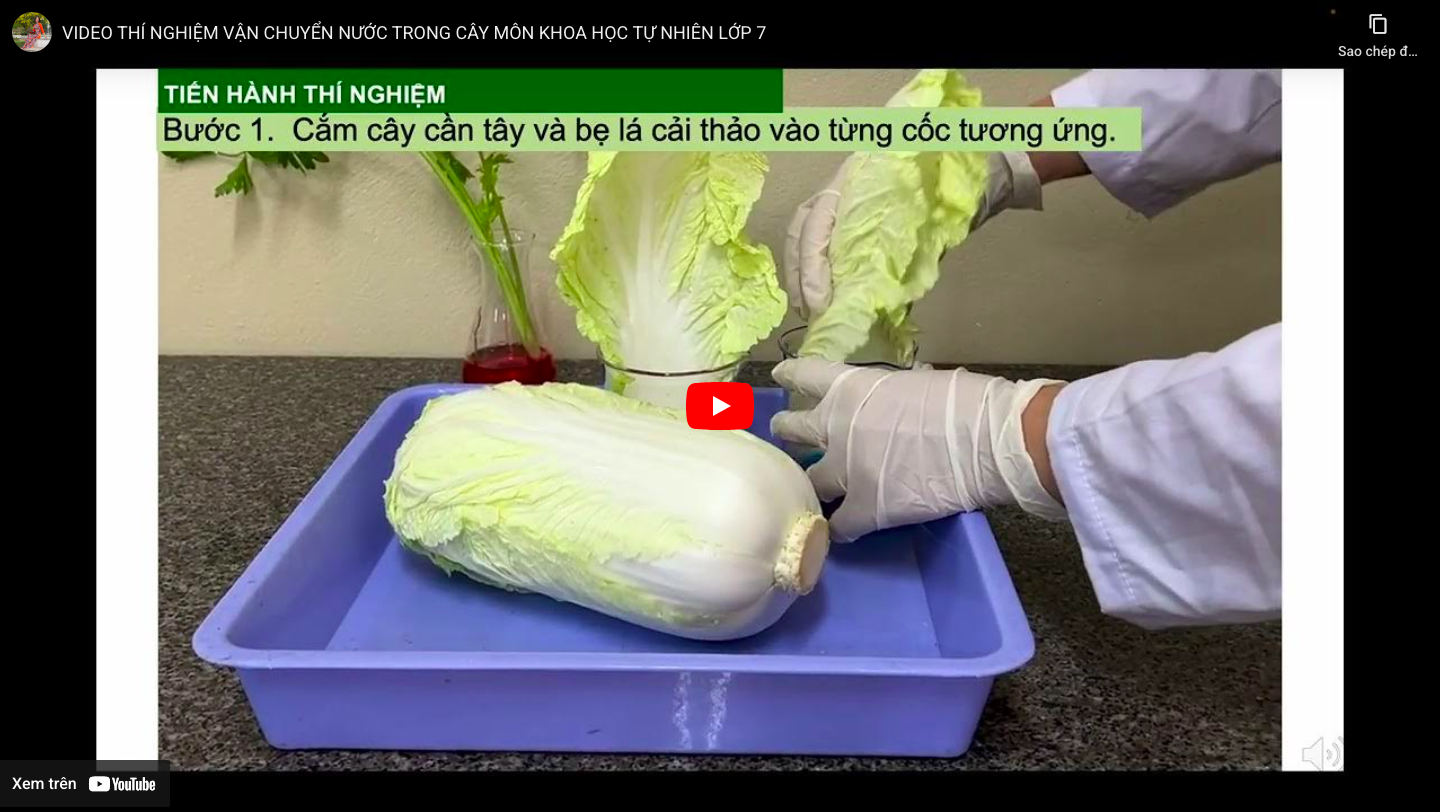 Ảnh đại diện video