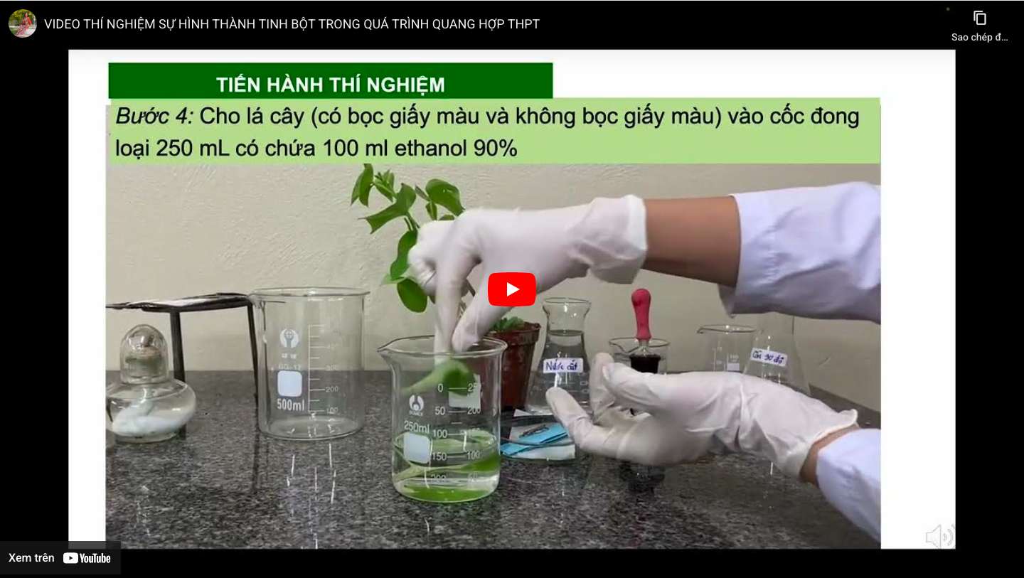 Ảnh đại diện video