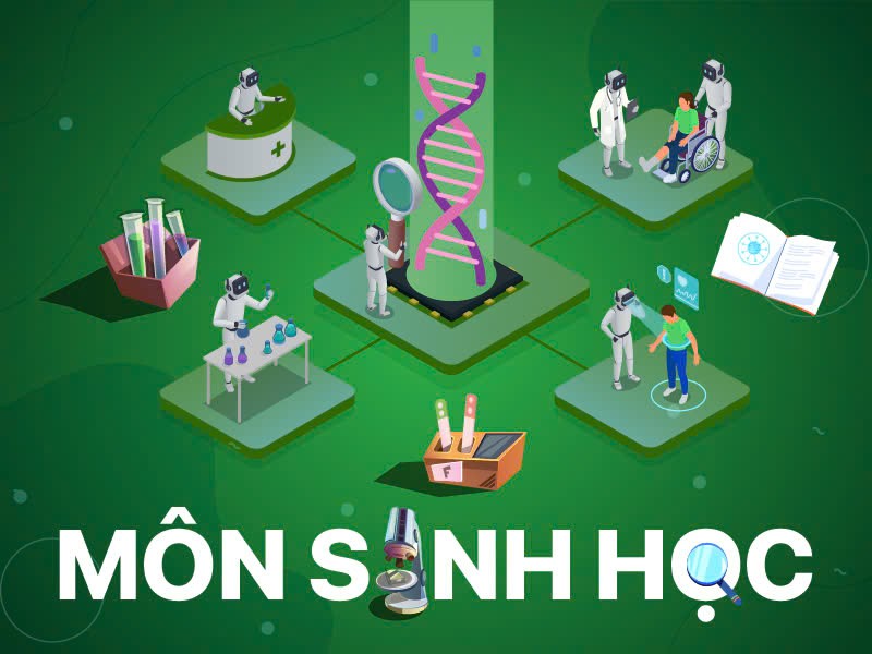 Ảnh khóa học